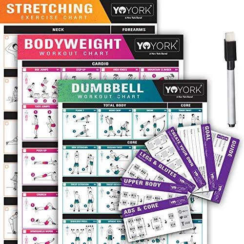 Exercise Posters for Stretching, Dumbell & Bodyweight Training - Home Gym &