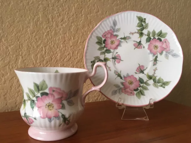 VINTAGE Rosina China Co Queen's Fine Bone China Cup & Saucer Rose Hip England