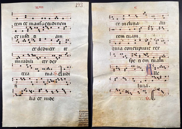 Fifteenth Century Script ANTIPHONAR ANTIPHONARY PARCHMENT Vellum Handwriting Manuscript 15th ...