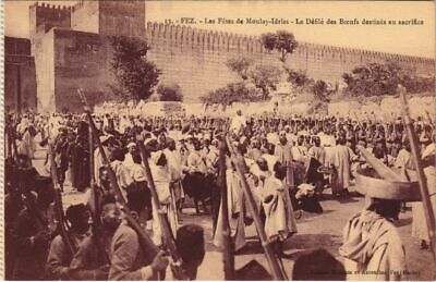 CPA AK Fez - Les Fetes de Moulay-Idriss - Le Defile des Boeufs MAROC (1082774)