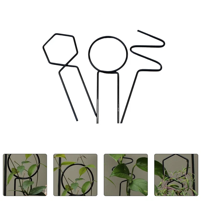 Climbing Plants Holder Plant Support Tinsel Garland Black Plants Potted Plant