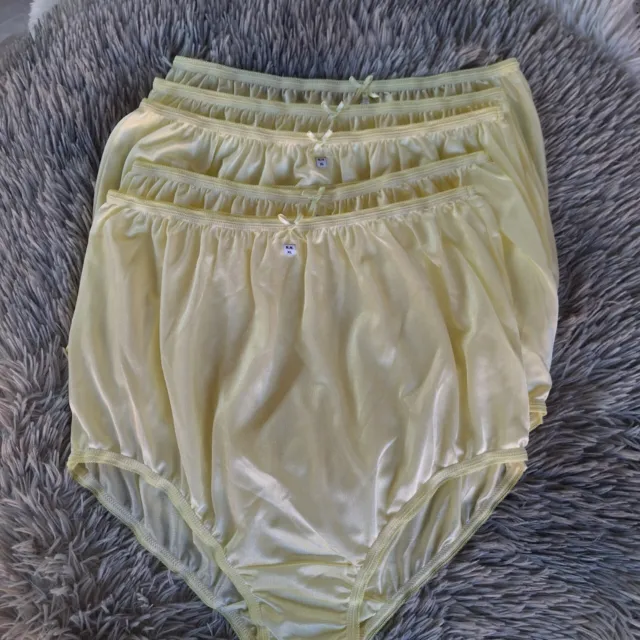 Vintage Nylon 6 Panties Underwear Granny High Waist Women Sissy, made in USA