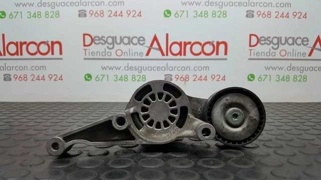 441576 Tendeur De Courroie Auxiliaire Pour Volkswagen Golf V Berlina (1K1) | 03G