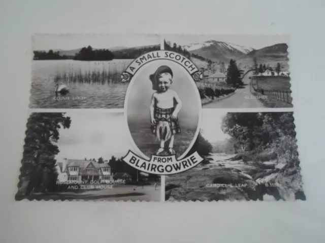 A SMALL SCOTCH FROM BLAIRGOWRIE, Vintage Real Photo Multiview Postcard §B2323