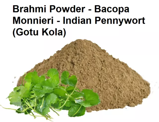 Poudre de Brahmi à base de plantes - Bacopa Monnieri - Pennywort indien...