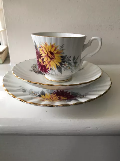 Royal Stafford 3 Piece Bone China Tea Set Cup Plates Floral