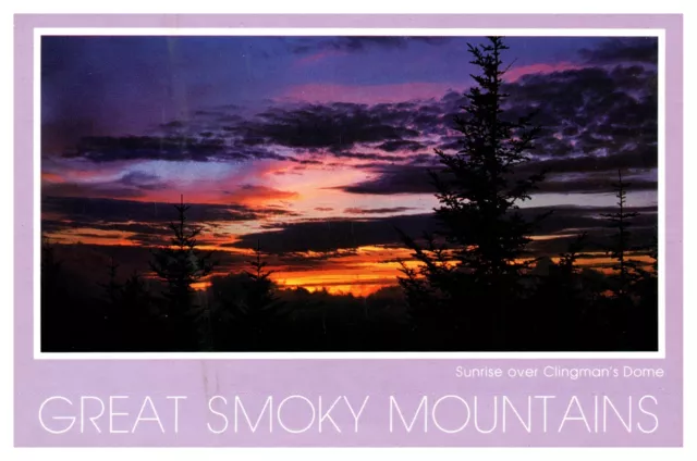 Great Smoky Mountains National Park NC Clingmans Dome Chrome UNP Postcard