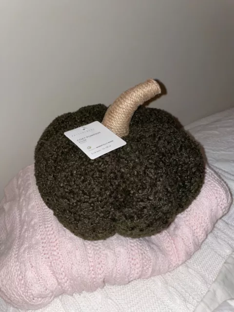 Pottery Barn Cozy Pumpkin Pillow Harvest Dark Green Brown Loden "NWT"