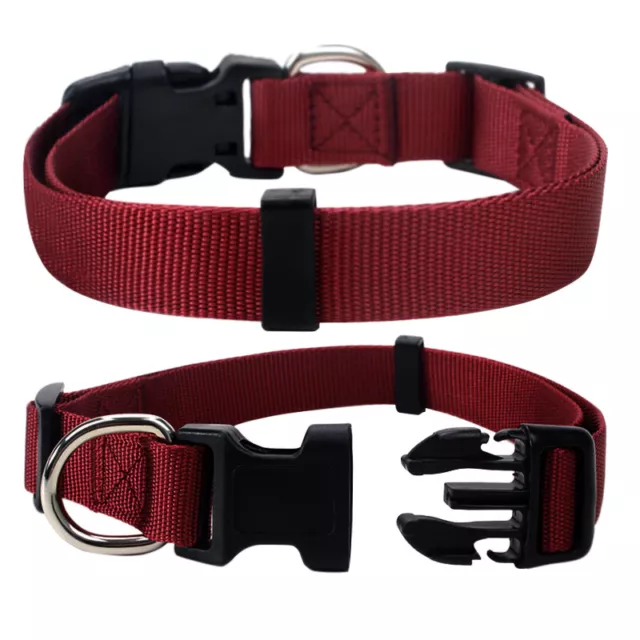 Hundehalsband Nylon Halsband Hunde große Auswahl 3 Größen