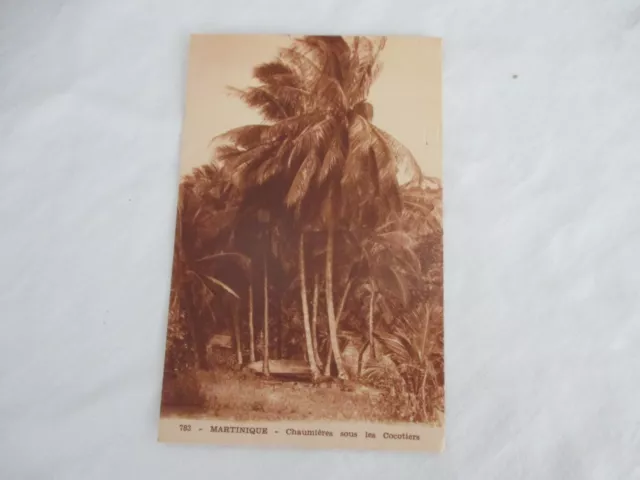 Cpa Martinique Carte Postale Ancienne Ecrite Chaumieres Sous Les Cocotiers