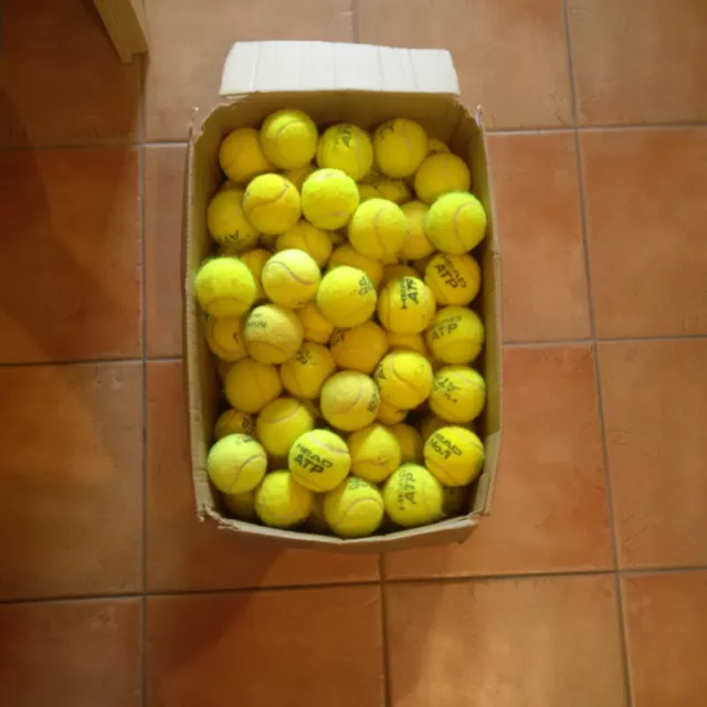 100 gebrauchte Tennisbälle, HEAD Dunlop u.a., für Faszien, Hunde, Kindertraining