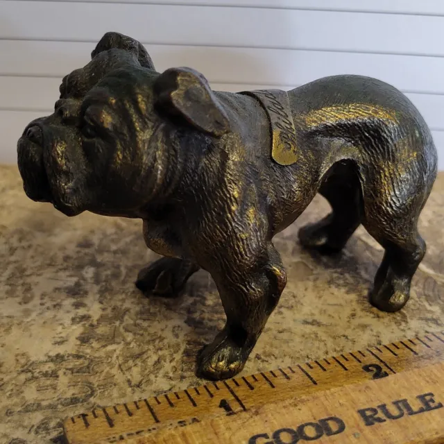 RARE Vtg Brass/Bronze Bulldog, Miniature Figurine, Philadelphia  3" CRAZY DETAIL