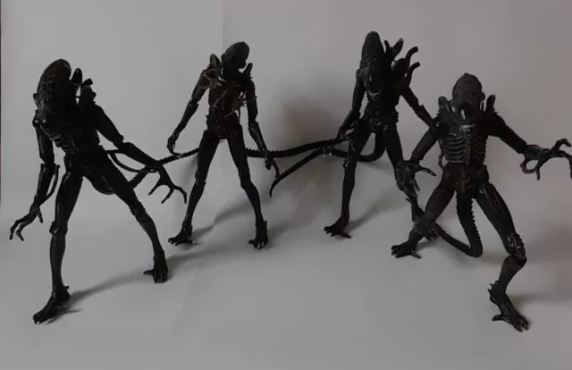 Xenomorph Warrior  - Alien - Action Figure - 9" -NECA Bundle X4