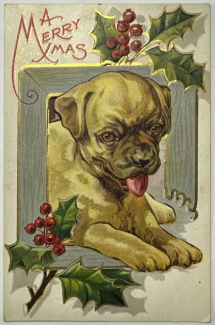 Pug Gold Etching Xmas Dog Series Early 1900s Christmas Postcard