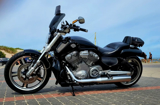 harley davidson v rod muscle 2013 ABS VRSCF