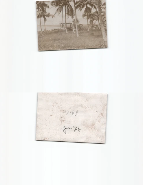 (b91801)   Neuguinea Herbertshöhe Palmenhain und Gartenhaus, deutsche Kolon