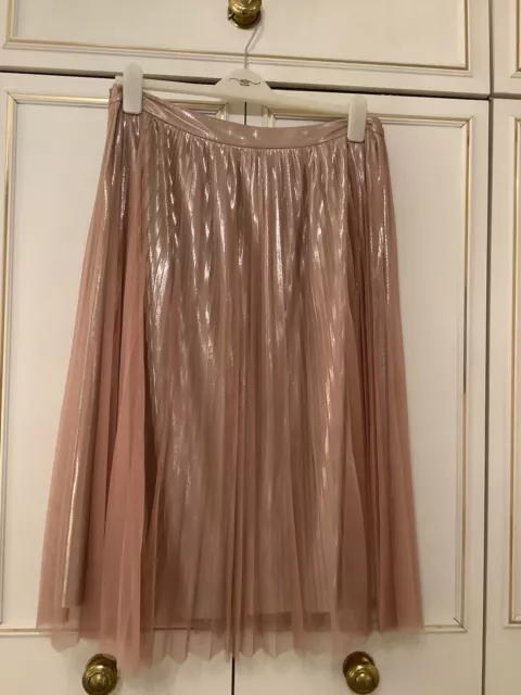 Gorgeous Sparkly Pink Netted Skirt With Silver Underskirt. Size 14 From Next