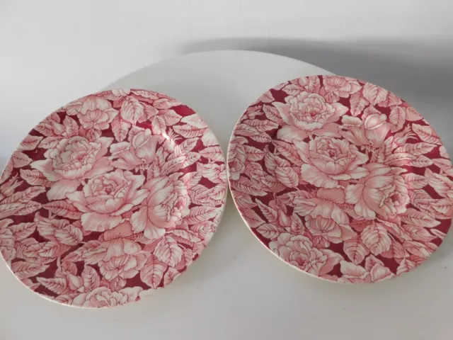 Pretty Pair Vintage Myott & Son Bermuda Rose Pink Floral Chintz Dinner Plates