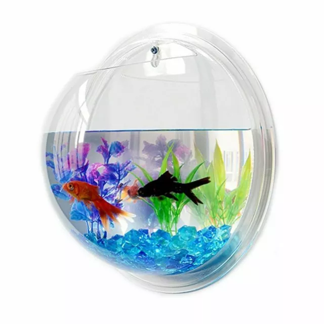 Hanging Wall Mounted Fish Bowl Betta Tank Aquarium Wall Decor Plant Fish Bubble