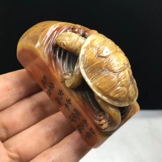 Collection Chinese Natural Shoushan Stone Carved Exquisite Turtle Statue Seal