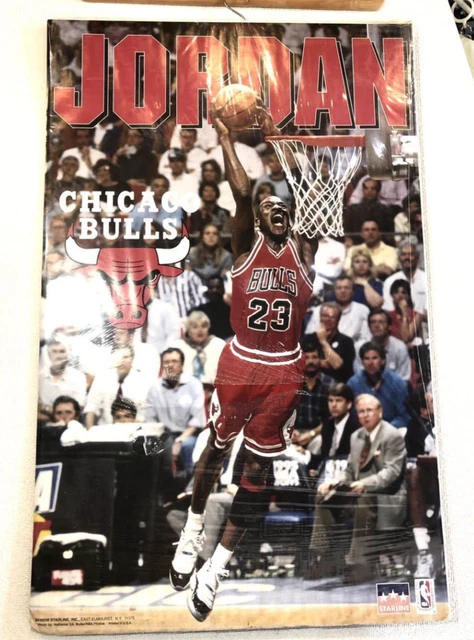 VINTAGE 90S CHICAGO Bulls Poster 16x20 NBA Micheal Jordan