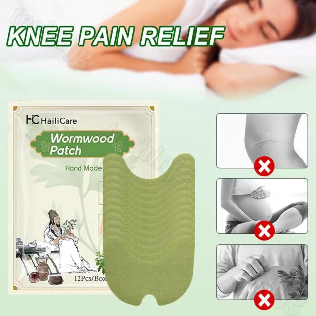 Wellnee Knee Pain Relief Patches Wormwood Sticker Neck Waist Joint Pain Patches