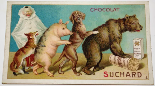 RARE CHROMO CHOCOLAT SUCHARD VELMA MILKA Série n° 134 ANIMAUX de CIRQUE n°1 1904