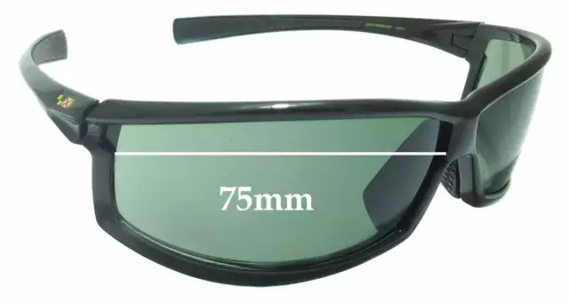 SFx Replacement Sunglass Lenses fits Louis Vuitton Evidence Millionaire  Z0105W 