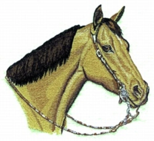Embroidered Ladies T-Shirt - Quarter Horse BT2339 Sizes S - XXL