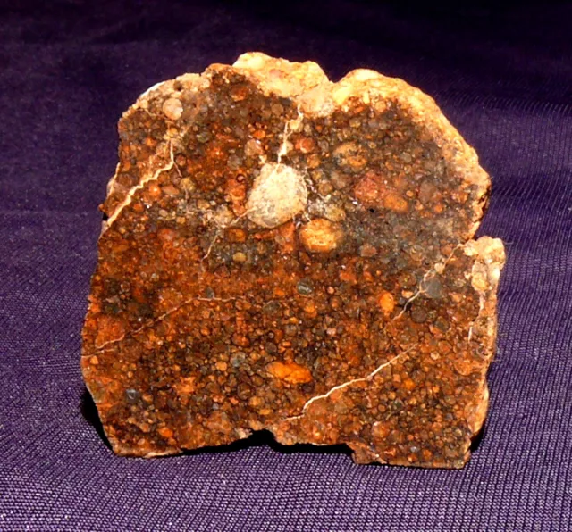 Stein-Meteorit Chondrit NWA 5437, Heilstein, 30x29x4mm 9,2g 陨石