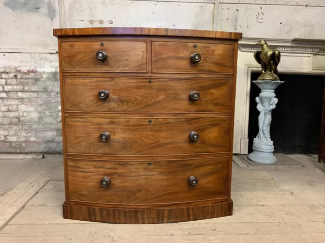 Magnificent Large Victorian Bow Front Chest Of Drawers