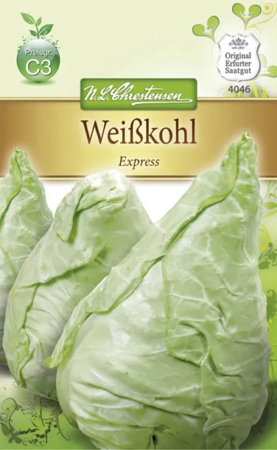 Weißkohl 'Express' - Brassica oleracea, Kohl, Spitzkohl, Samen, 4046