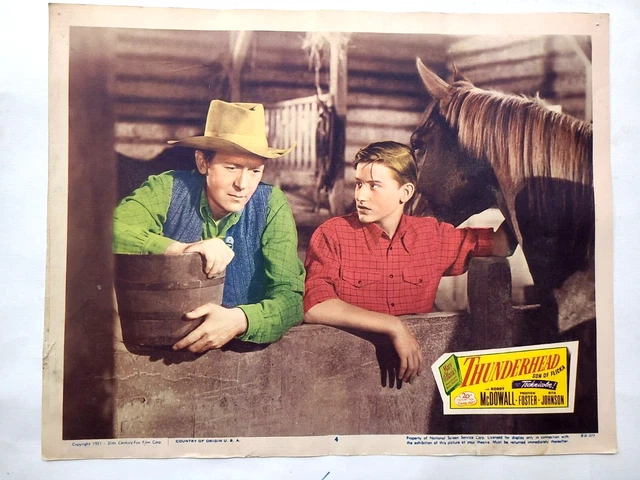 Thunderhead Original Vintage Lobby Card 11X14 Roddy Mcdowall Preston Foster
