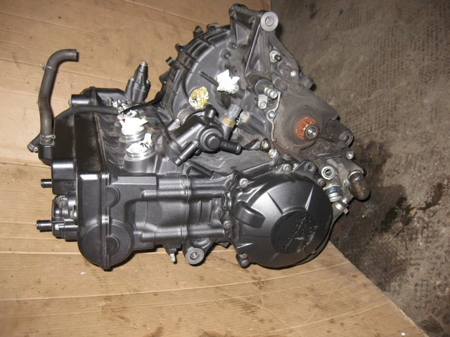 Honda CB 600 F Hornet PC 41 Moteur Complet 27544km