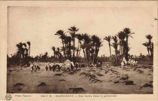 CPA AK MAROC MARRAKECH Une harka dans la palmeraie Flandrin (37878)