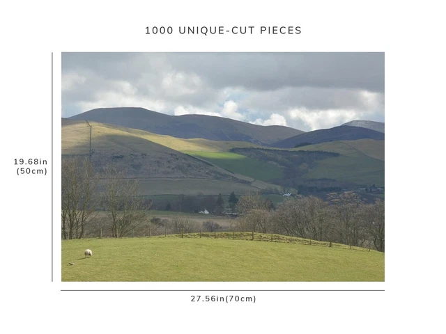 1000 piece puzzle for adults: Scottish Nature Landscape Scotland 2