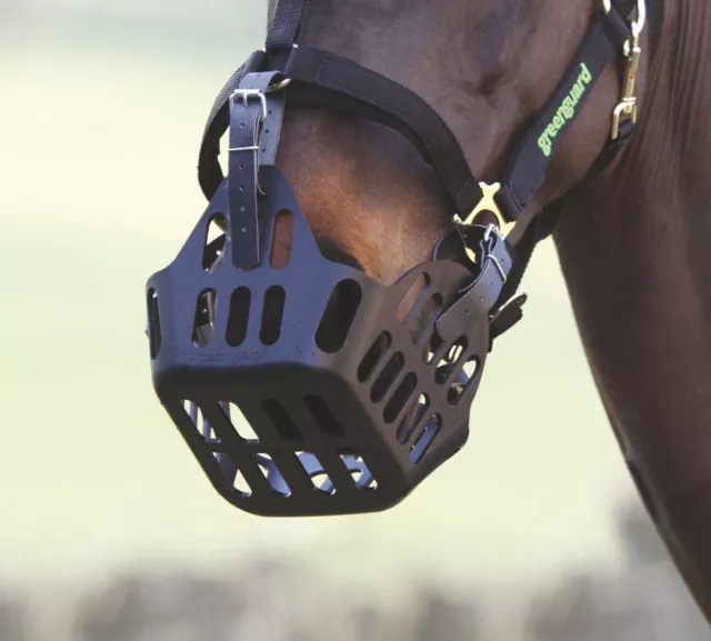 Greenguard Horse Grass Muzzle in Black, Pony, Cob, Full