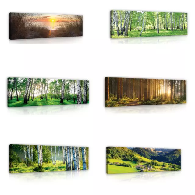 WALD NATUR LANDSCHAFT Wandbilder Panorama Leinwand Bilder Canvas Wandbild 145x45