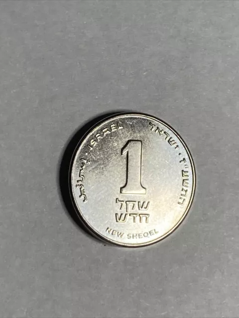 1 SILVER Plated Full Sheqel 1 Shekel  Lion on NLM Israel Israeli Coins