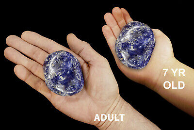 BLUE SODALITE Tumbled 2" 3-4 Oz Polished Rock Mineral Reiki Healing Crystal