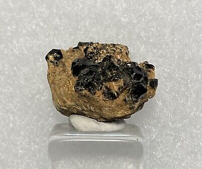 Small Black Melanite Garnet Crystal Specimen from San Benito County, California