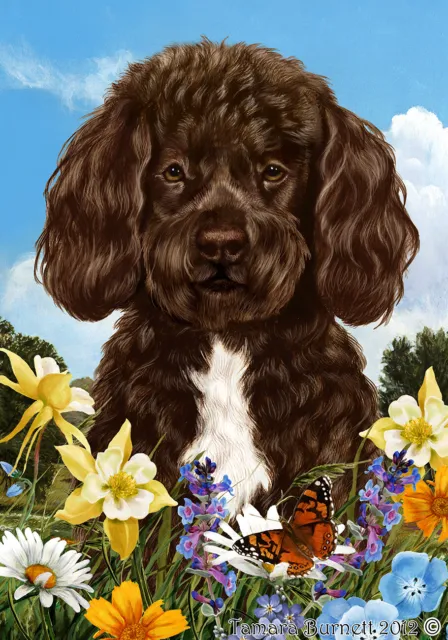 Summer Garden Flag - Bearded Brown and White Portuguese Water Dog 189131