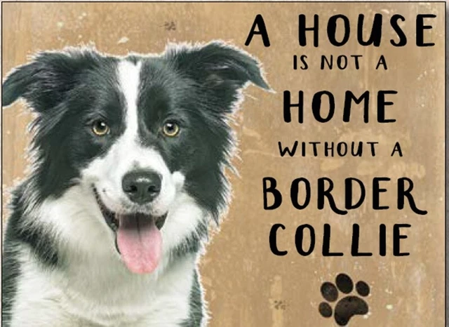 Plaque Adresse HOme – "Une Maison N'est Pas Une Maison Sans Chien" – NEUVE