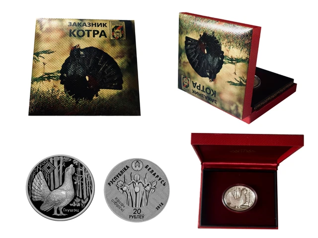 Belarus 2018, KOTRA.nature reserve. CAPERCAILLIE. SIBERIAN IRIS, Silver, BOX