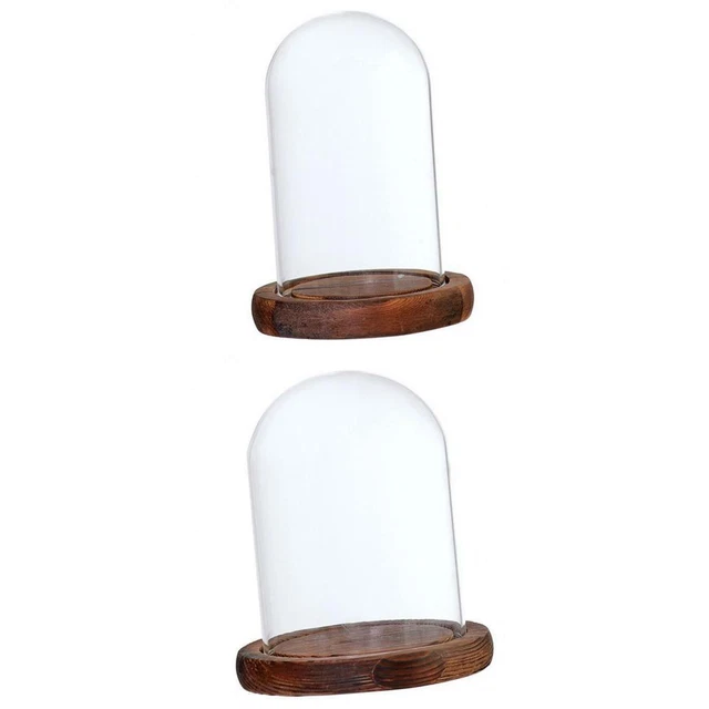 2 Stück Glas Cloche Dome Sukkulentenglas mit Deckel und Boden Bürodekoration