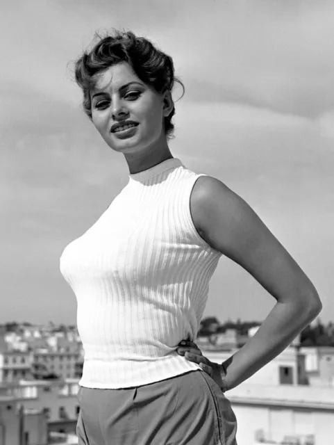 WW2 WWII Photo Pinup Girl Actress Starlet  Movie Star Sophia Loren  / 8524
