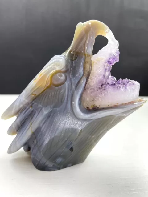 1pc Natural geode agate Quartz Carved eagle Skull Crystal Reiki Healing Decor