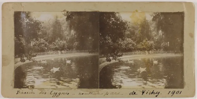 Neue Parc De Vichy Becken Des Schwäne Frankreich Foto Stereo Vintage Citrat 1901