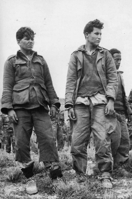 GUERRE D'ALGÉRIE Soldats de l'ALN prisonniers des militaires français