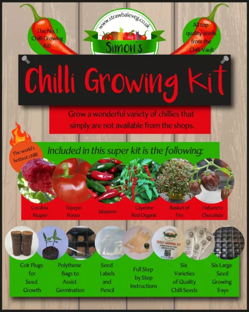 Chilli Growing Kit